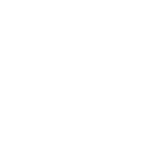 Santa Rita Harinas