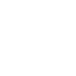 Binpar | Digital Ignition